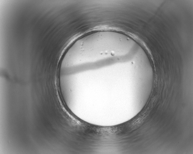 X0000056010855200509162342