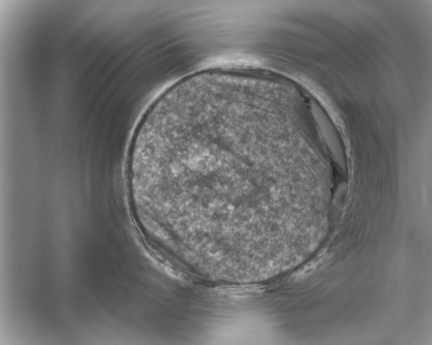 X0000056010864200509162342