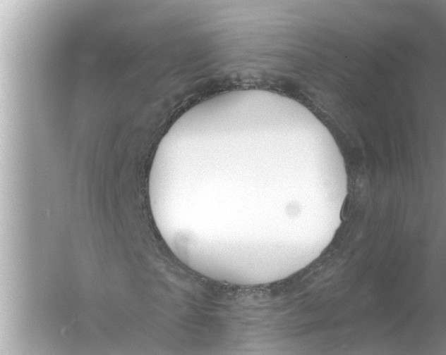 X0000056010865200509162341