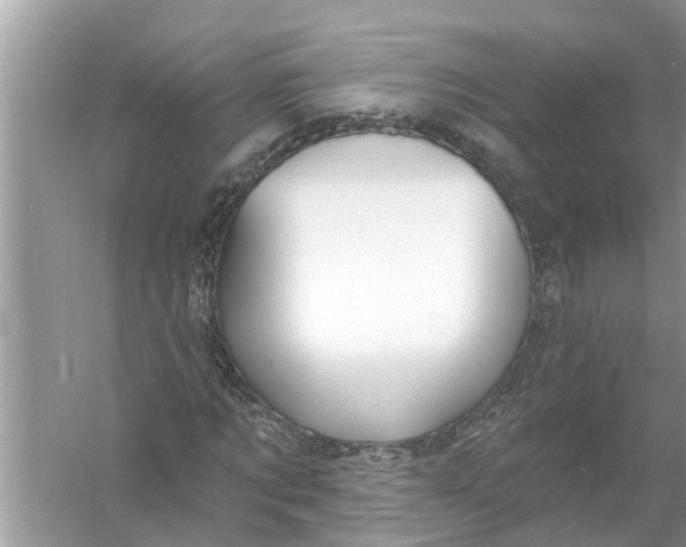 X0000056010869200509162341