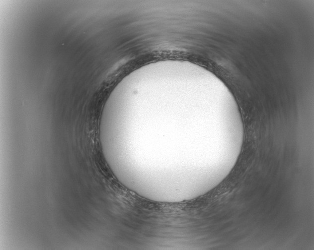 X0000056010870200509162341