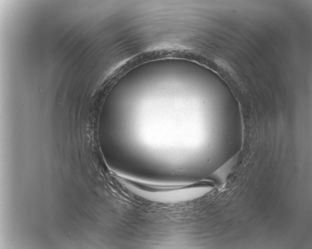 X0000056010872200509162341