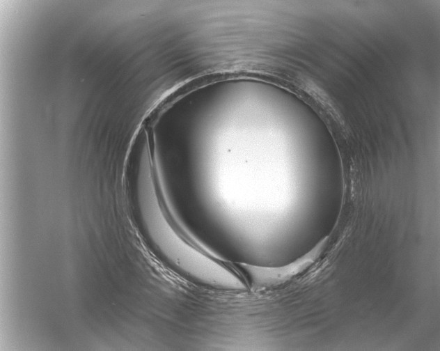 X0000056010876200509162341