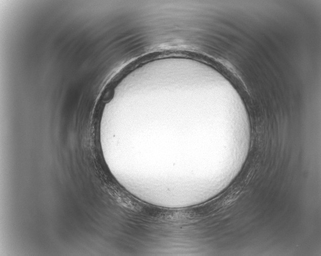 X0000056010879200509162341