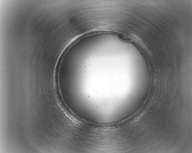 X0000056010884200509162341