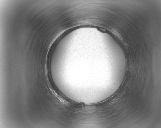 X0000056010888200509162341