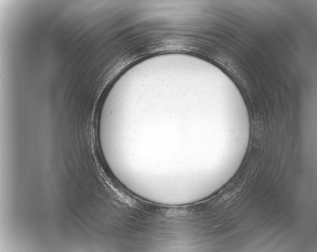 X0000056010890200509162341