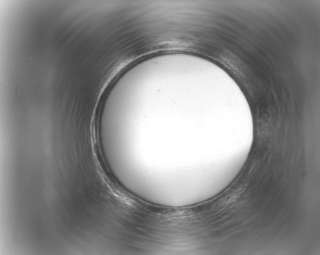 X0000056010891200509162341