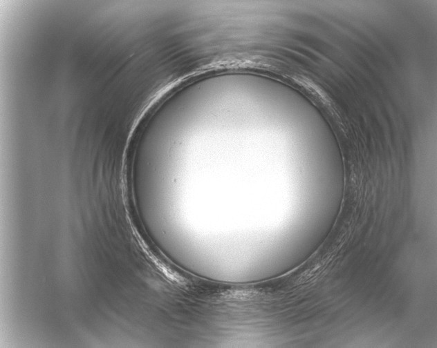 X0000056010894200509162341