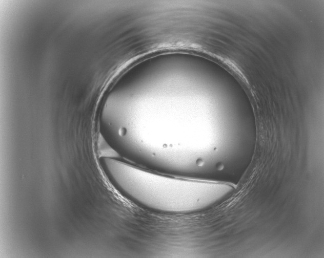 X0000056010895200509162341