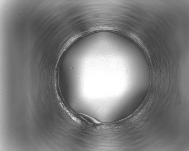 X0000056010898200509162341