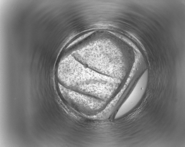 X0000056010899200509162341