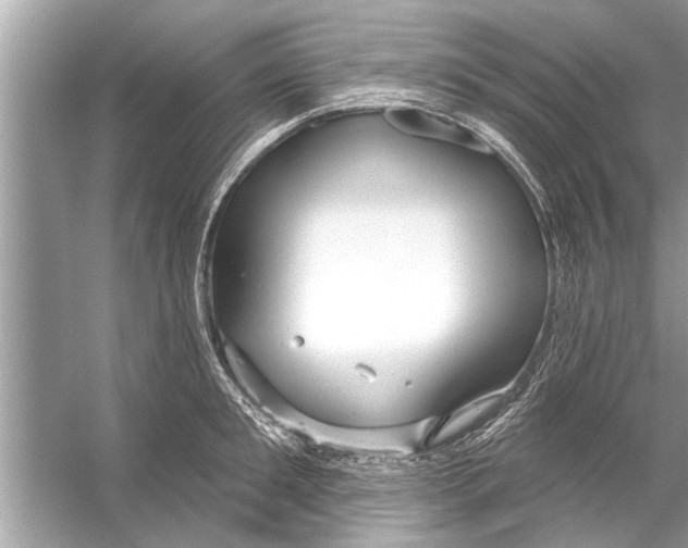 X0000056010901200509162341