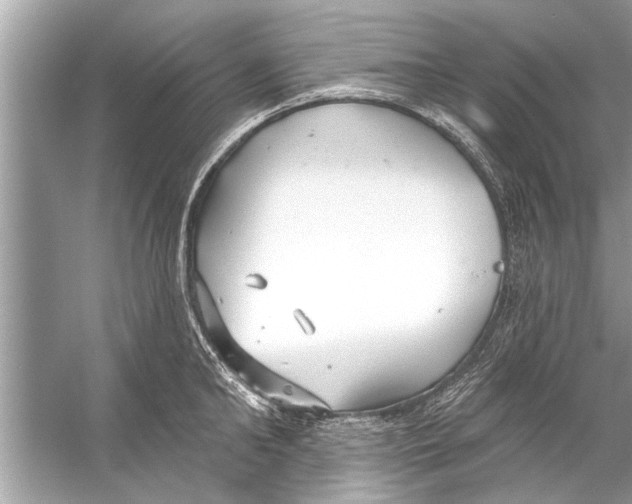 X0000056010902200509162341