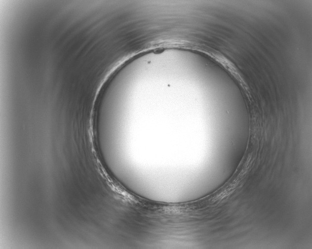 X0000056010904200509162341