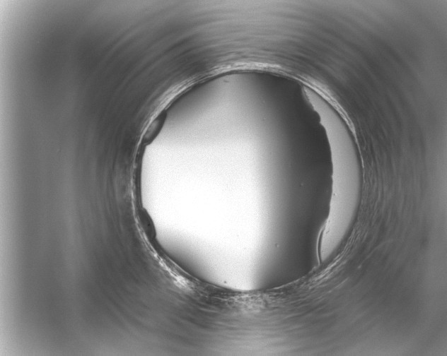 X0000056010906200509162341