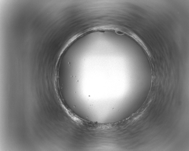 X0000056010909200509162341