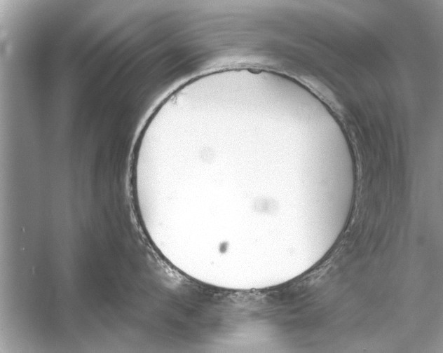 X0000056010912200509162341