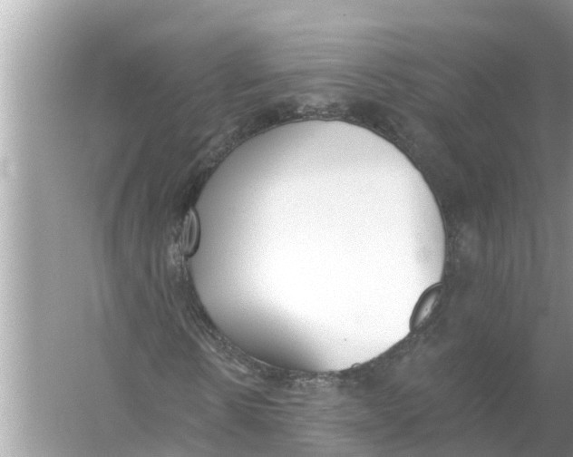 X0000056010914200509162340