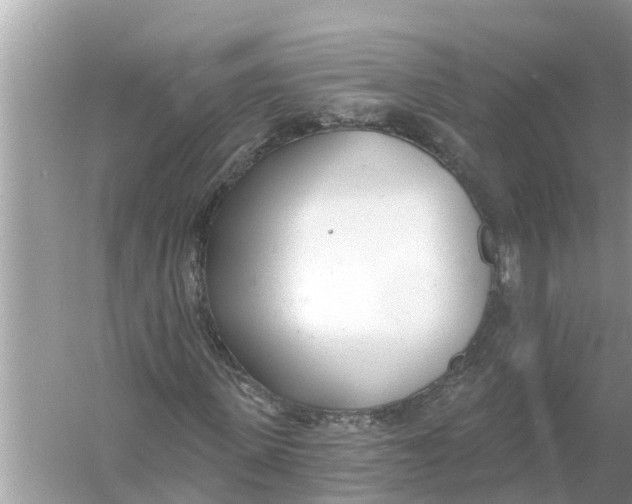 X0000056010915200509162340