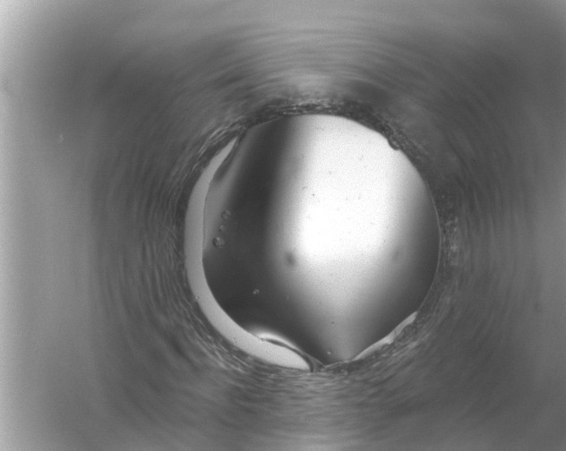 X0000056010916200509162340