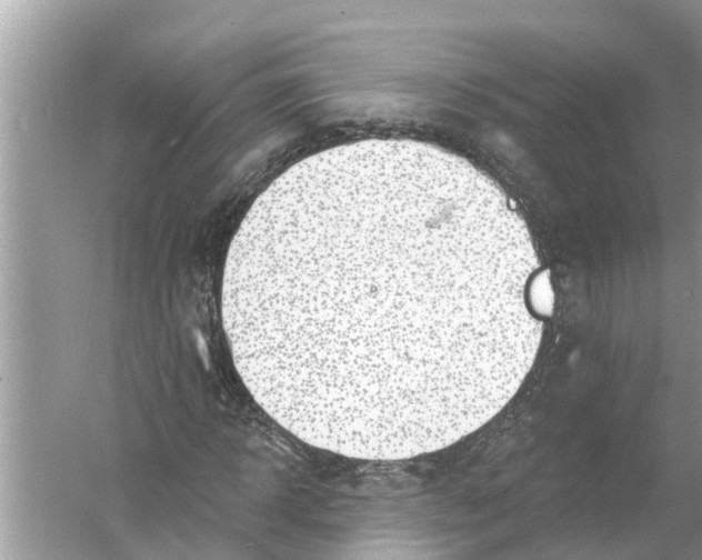 X0000056010918200509162340