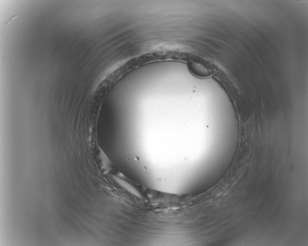 X0000056010919200509162340