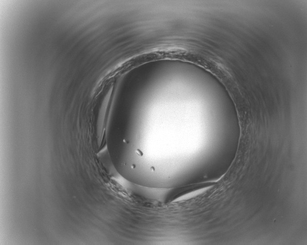 X0000056010920200509162340