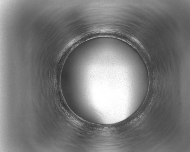 X0000056010922200509162340