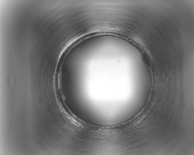 X0000056010928200509162340