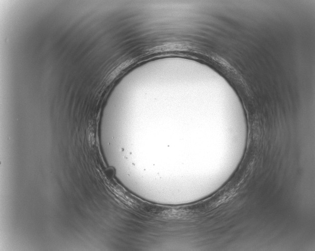 X0000056010929200509162340