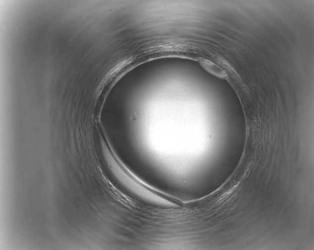 X0000056010930200509162340