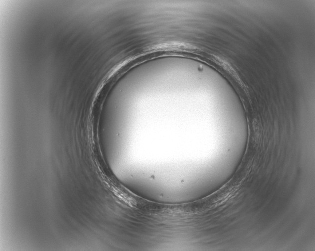 X0000056010931200509162340