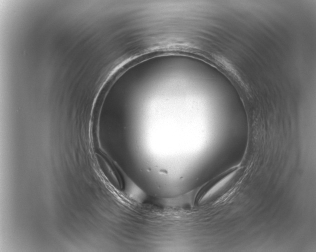 X0000056010932200509162340