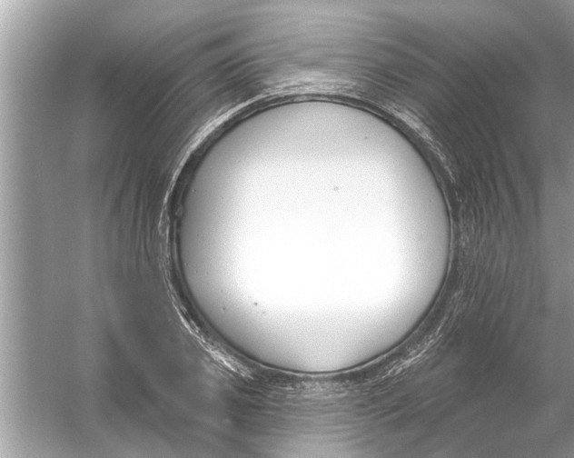 X0000056010933200509162340