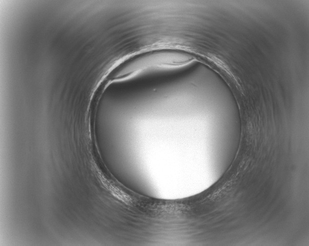 X0000056010934200509162340