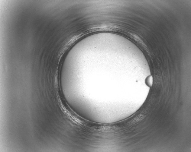 X0000056010938200509162340