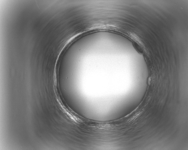 X0000056010940200509162340