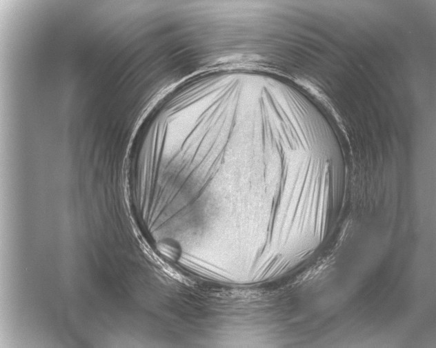 X0000056010941200509162340