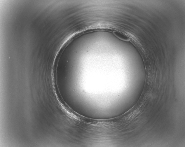 X0000056010942200509162340