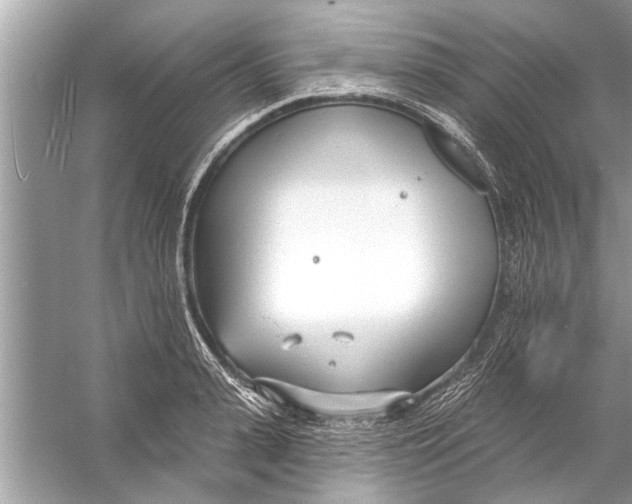 X0000056010943200509162340