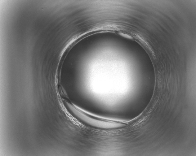 X0000056010944200509162340