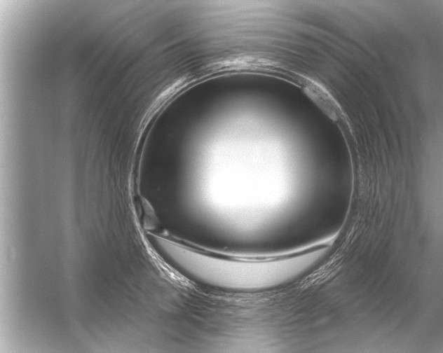 X0000056010946200509162340