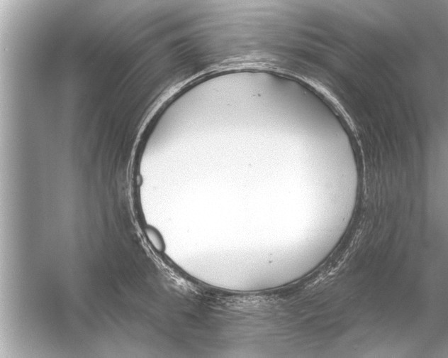 X0000056010949200509162340