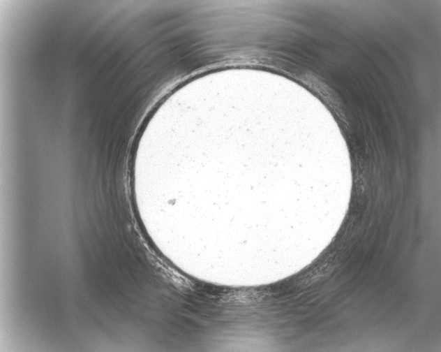 X0000056010950200509162340