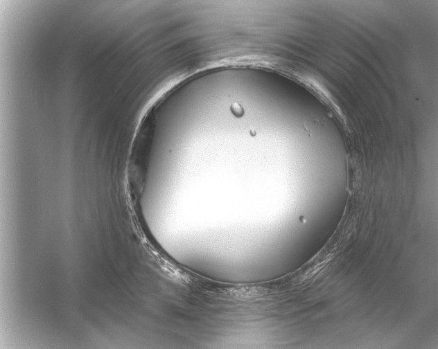 X0000056010952200509162340