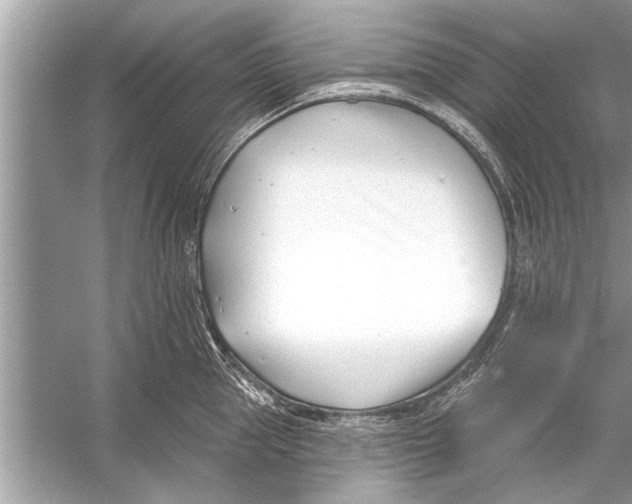 X0000056010953200509162340