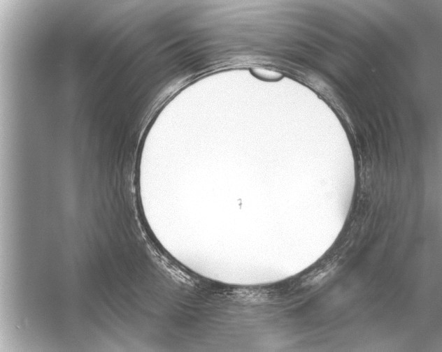 X0000056010954200509162340