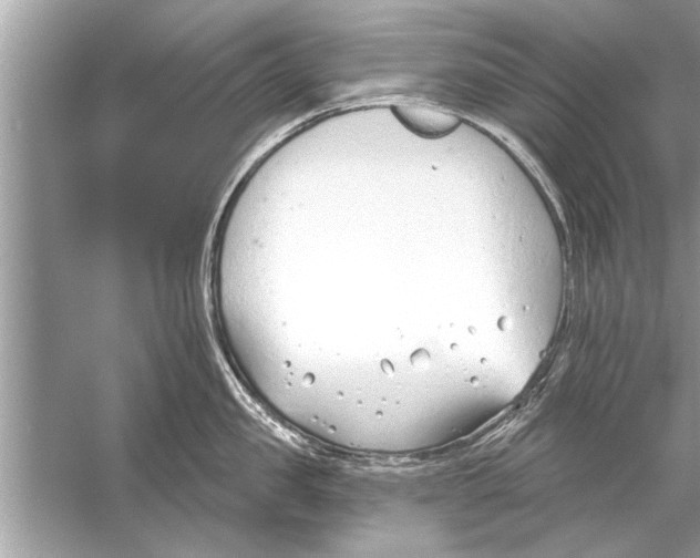 X0000056010957200509162340