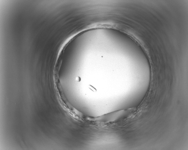 X0000056010960200509162341